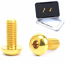 Комплект титановых винтов Risk Titanium Bolts T15 2шт. (gold)