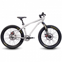 Велосипед детский 20" Early Rider Belter Trail 3S Brushed / 2017