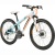 team_race_disc_24_light_blue_angled