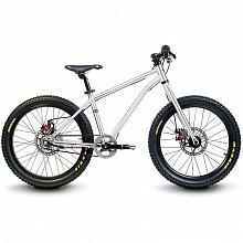 Велосипед детский 20" Early Rider Belter Trail 3 Brushed / 2017