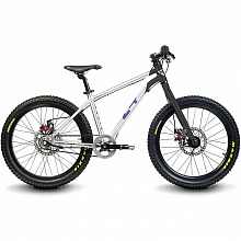 Велосипед детский 20" Early Rider Belter Trail 3 Black-Purple / 2017